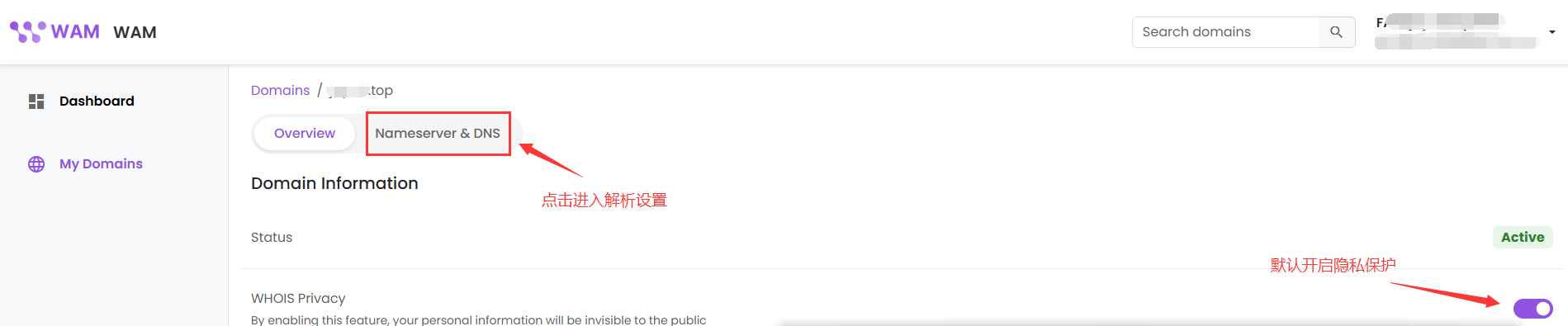 点击 Nameserver 和 DNS 设置